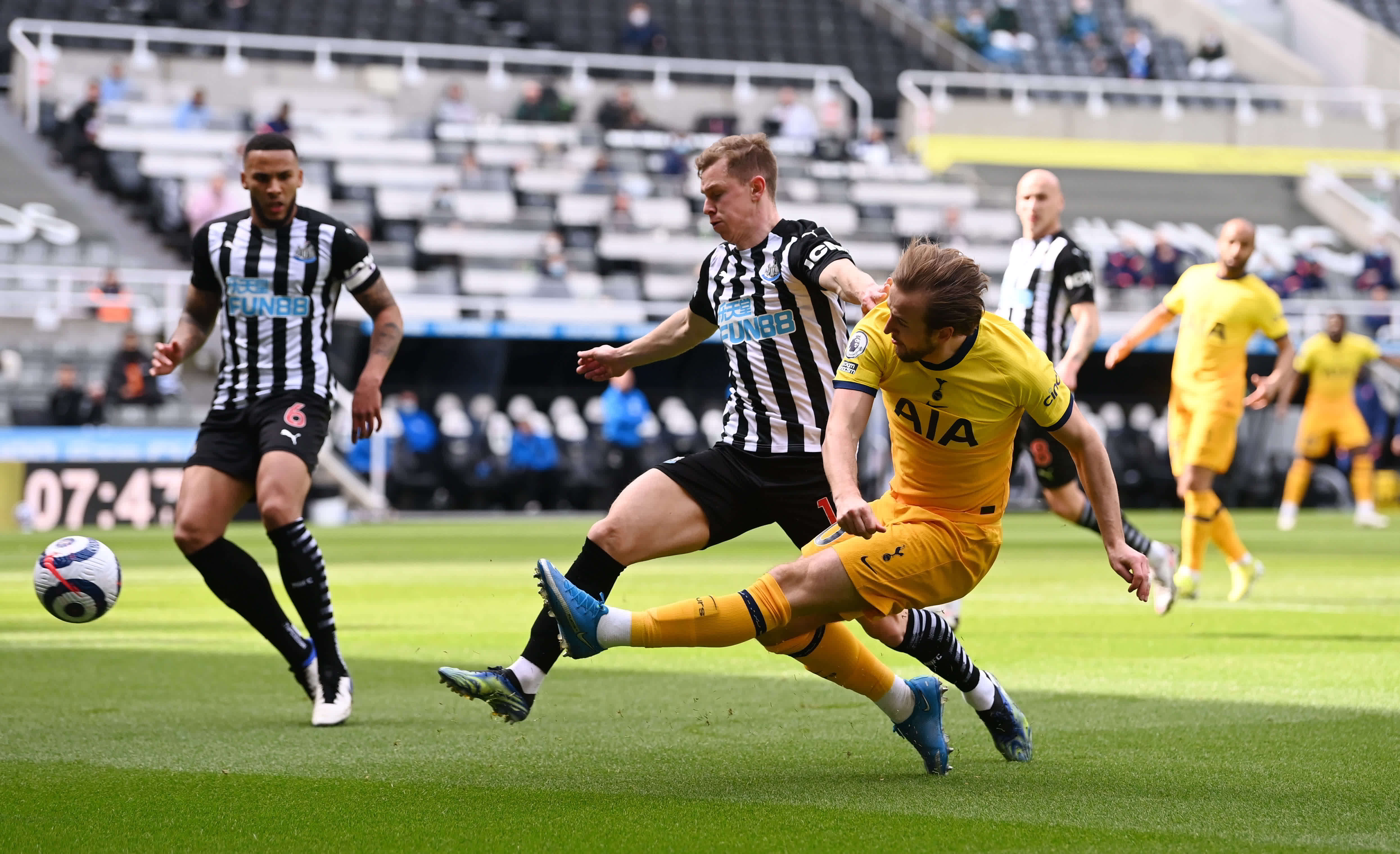 马的兴趣 马的兴趣